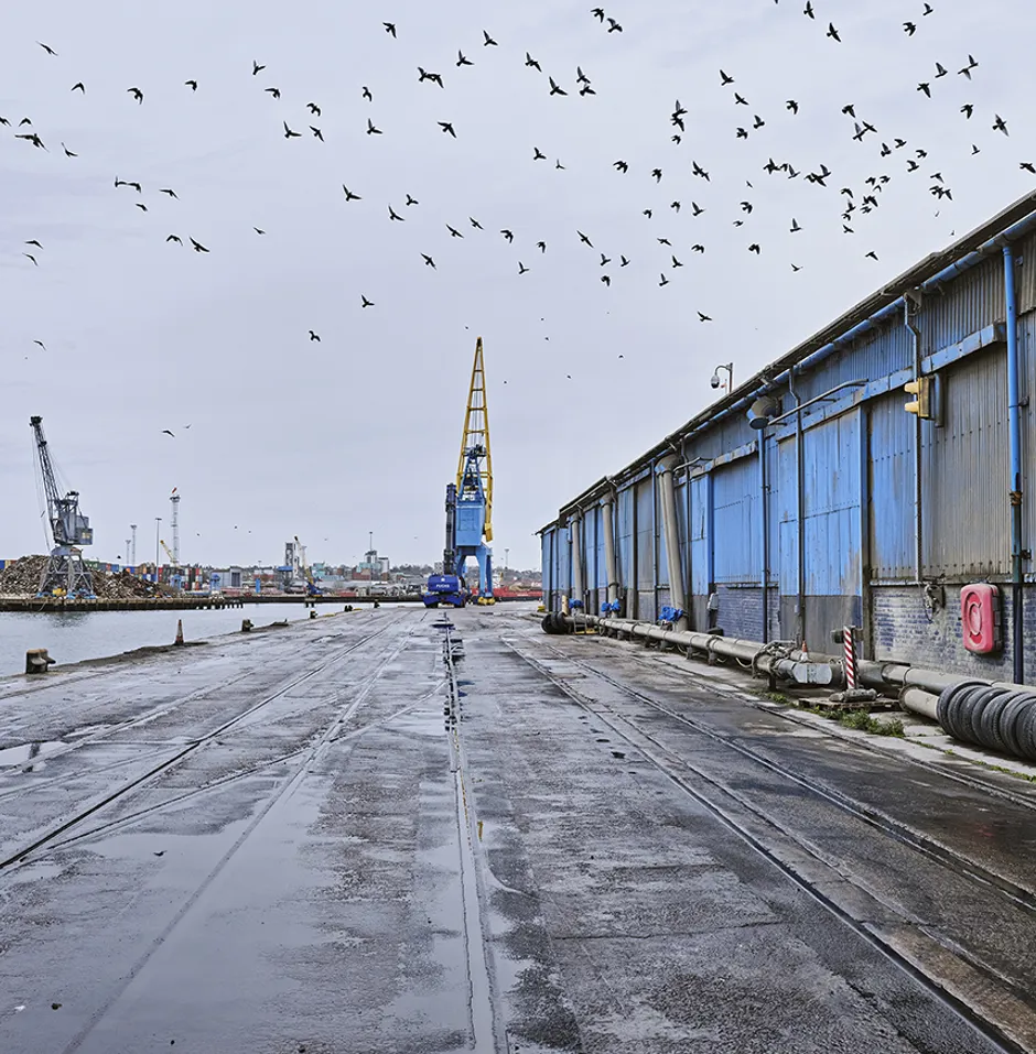container and bulk cargo terminal