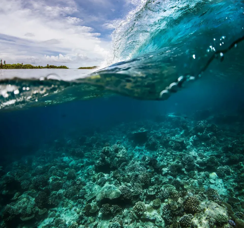 A surfing wave with waterline over tropical coral reef