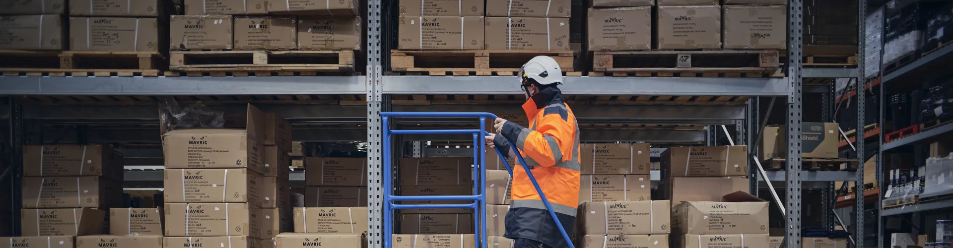 warehouse employees on a ladder checking stock