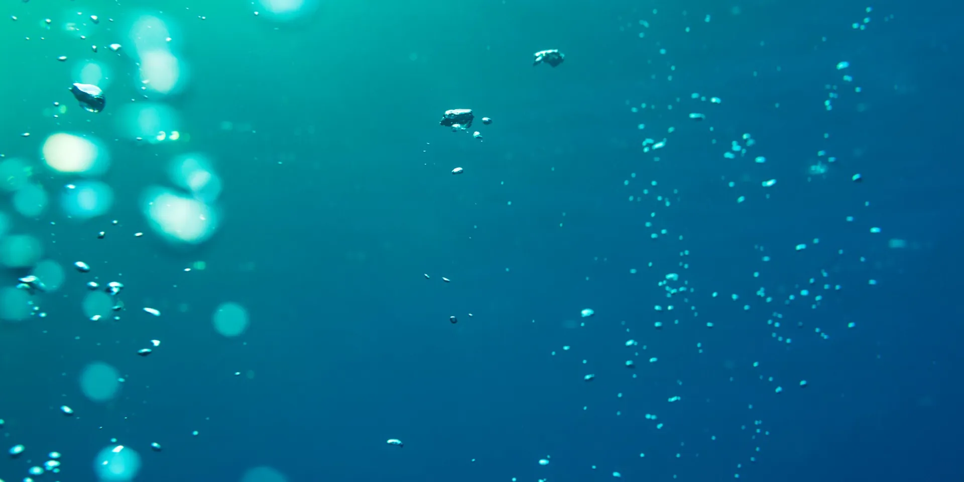 Underwater air bubbles moving upwards